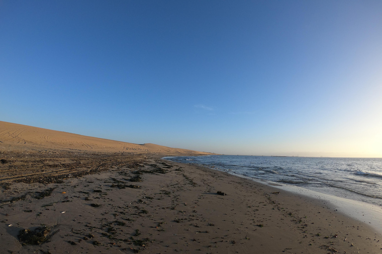 Swakopmund: Sunset Kayaking Tour with Hotel Pickup