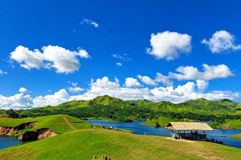 Bohol: Private Mabini Lake Nature Escape with Transfer - Image 2