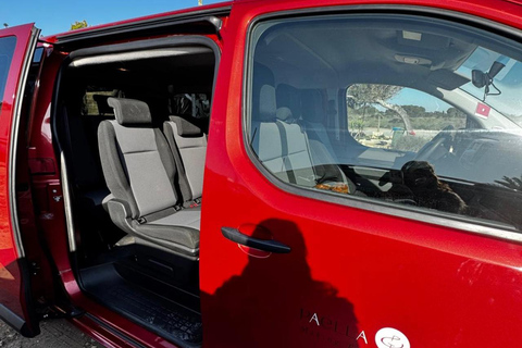 Salt Route and Birdwatching from Alicante to Santa Pola by Van