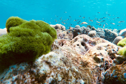 Krabi: Sunset Bliss to Phi Phi & 4 Island by Speed Catamaran