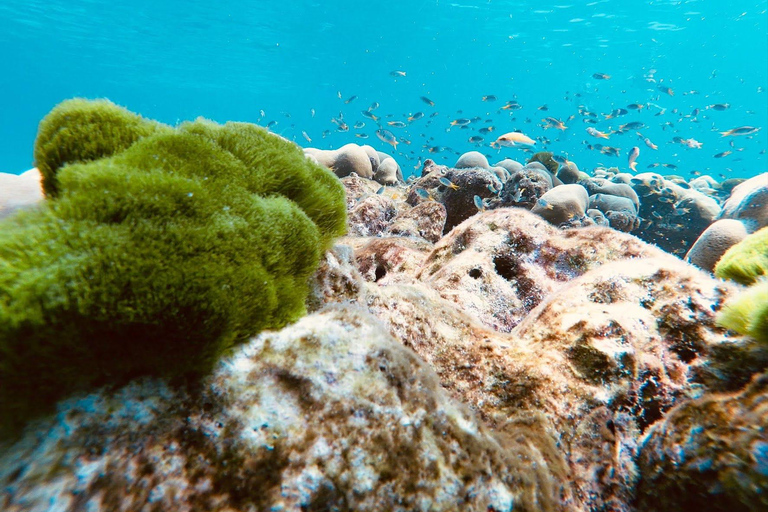 Krabi: Sunset Bliss to Phi Phi & 4 Island by Speed Catamaran