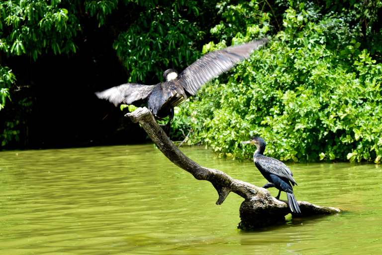 Duluti-See: Kanufahren, Naturwanderung und ExtraKajakfahren, Spaziergang in der Natur und Töpferkurs
