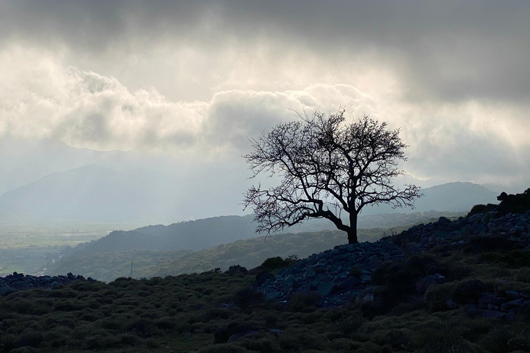 Creta: Excursión Guiada de Senderismo por la Meseta de Lassithi