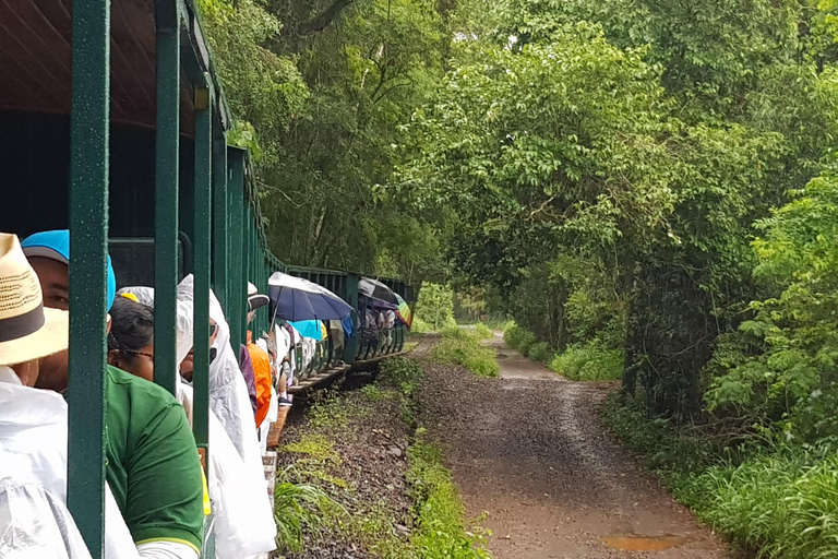 Odkrywanie wodospadów Iguazu w Argentynie