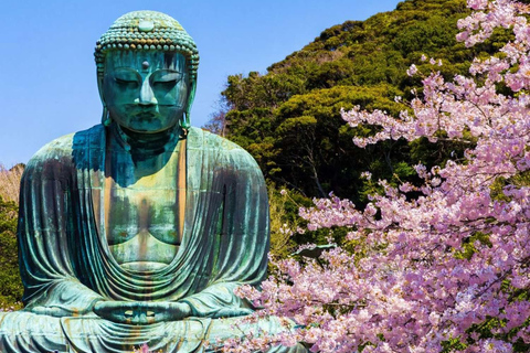 Sacred Kamakura & Yokohama Full-Day Tour with English Guide Luxury Car German Porsche Cayenne Private Tour Guide