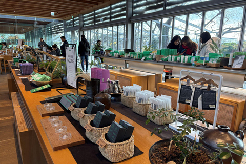 Jeju Trendy Café Tour including Hello Kitty Island