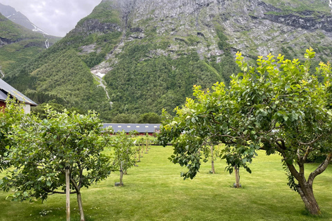 Passeio de bicicleta elétrica de Hellesylt a Norangsdalen