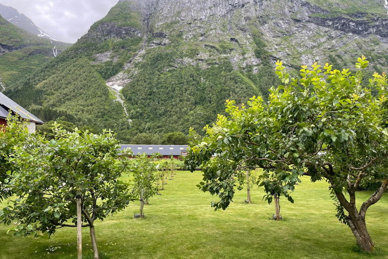 Wycieczka rowerowa z Hellesylt do Norangsdalen