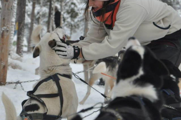 Combo Tour\Husky and Reindeer Sledding Ride in Levi