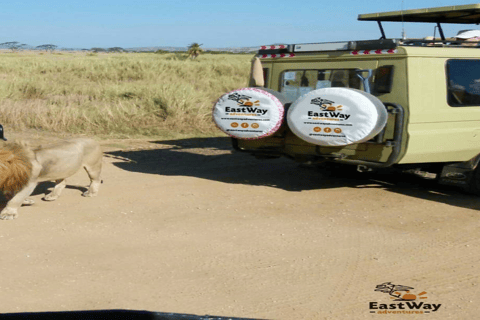 Serengeti: driedaagse gezamenlijke groepssafari