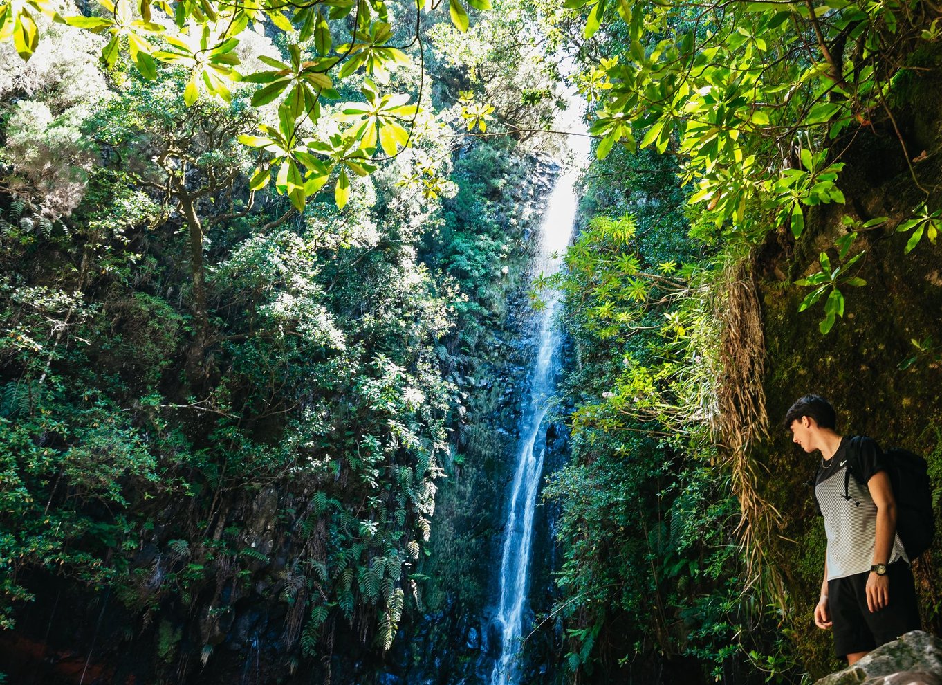 Madeira: Nyd en guidet gåtur i Levada i Rabaçal-dalen