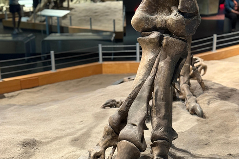 Calgary: Drumheller Day Trip with Royal Tyrrell Museum Entry