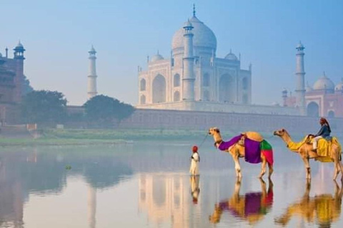 Delhi to Taj Mahal in a Day: Discover the Wonder of Agra All inclusive tour