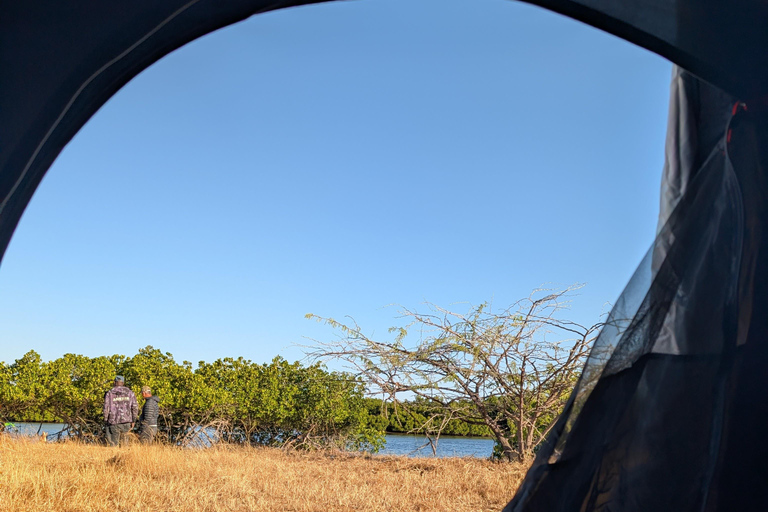 Saloum Delta: 3 days of adventure in the middle of nature, camping on a desert island Saloum Delta: Camping and Adventure