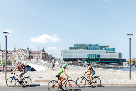 Bike Tour of Copenhagen: The Little Mermaid & Hidden Gems