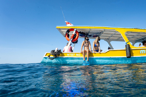 From Lombok: Gili Islands Private Snorkeling & Turtle Tour Private snorkeling with Roundtrip Hotel Transfer from Kuta