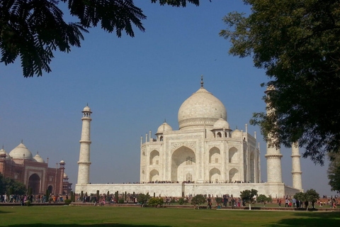 Tour Taj Mahal-Agra Fort &amp; Bazar con guida privata giapponeseTour guidato con macchina