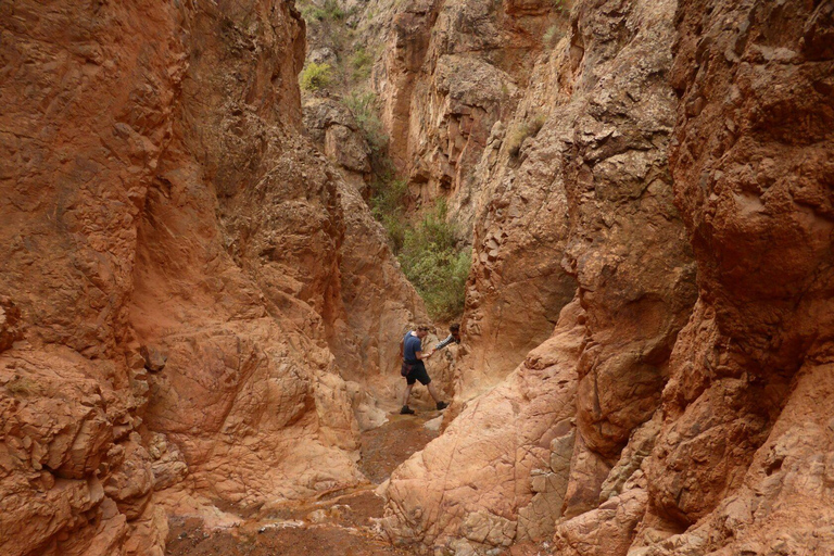 2-Day Autumn Canyons, Eagle Hunter & Lakeside Yurt Trip 2-Day Autumn Canyons, Eagle Hunter & Lakeside Yurt Trip