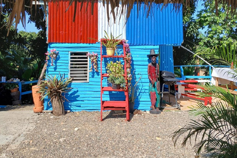 Puerto Plata: Countryside tour with Monkey Home, butterflies, and coffee