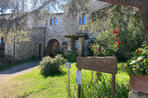 Découvrez les petites caves de brunello biologiques et biodynamiques