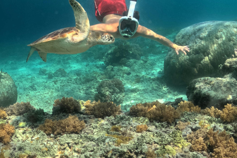 Da Lombok: snorkeling alle 3 Gilis e moto d'acqua a SenggigiDa Lombok: snorkeling e moto d'acqua a Senggigi