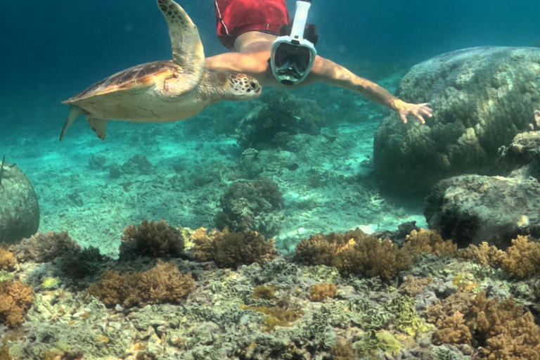 Da Lombok: snorkeling alle 3 Gilis e moto d'acqua a SenggigiDa Lombok: snorkeling e moto d'acqua a Senggigi