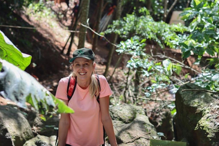 Puerto Iguazú: Aguaray Kayaking and Trekking Day Trip