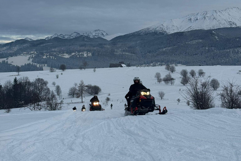 Zakopane Snowmobile, Quad or Buggy Ride & Treetop Skywalk Snowmobile, Quad or Buggy Ride & Skywalk (No Rental)