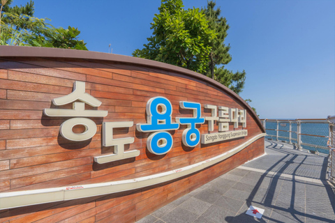 Busan Untold: War History, Hillside Villages & Songdo Cable Shared Group Tour, Depart from Busan Subway Station Exit 3