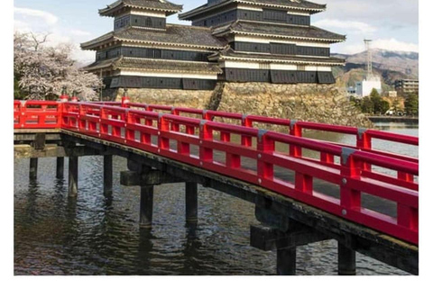 Vanuit Tokio/Nagano: Luxe Sneeuw Aap Privé Hele Dag Tour