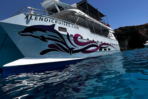 Malta: Comino Catamaran Cruise with Blue & Crystal Lagoon Morning or afternoon Half day cruise with 2 swimming stops