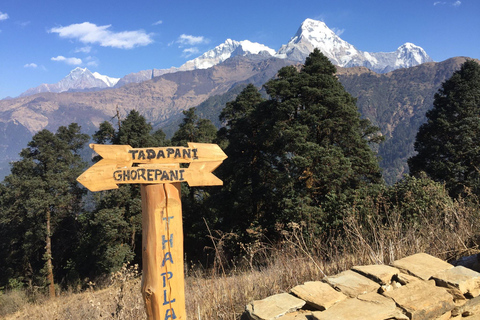 Au départ de Pokhara : 5 jours de trek au camp de base de l&#039;Annapurna et source d&#039;eau chaudePokhara : 5 jours de trek au camp de base de l&#039;Annapurna