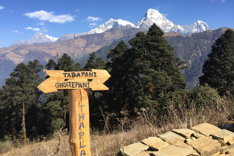 Au départ de Pokhara : 5 jours de trek au camp de base de l&#039;Annapurna et source d&#039;eau chaudePokhara : 5 jours de trek au camp de base de l&#039;Annapurna