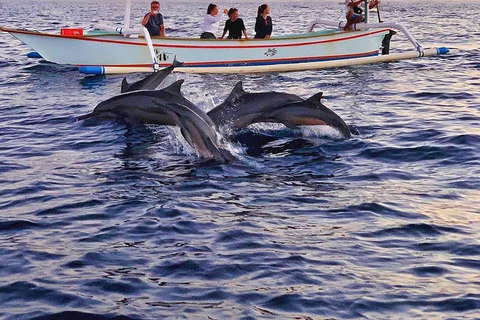 Lovina: Dolphin Watching, Gitgit Waterfall and Ulun Danu Lovina: Dolphin Watching, Gitgit Waterfall and Ulun Danu