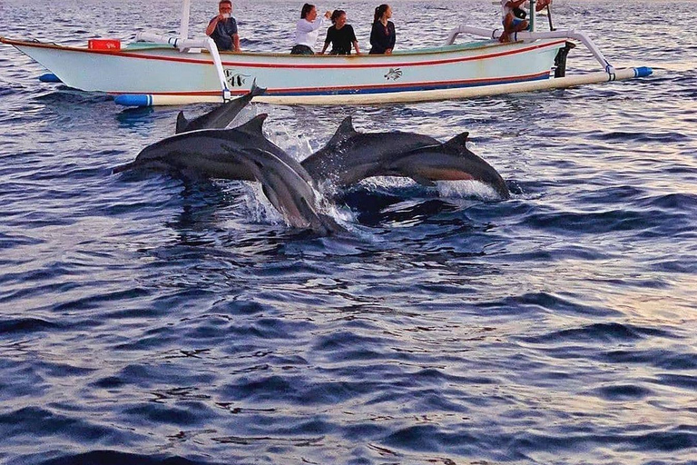 North Bali : Lovina Dolphins and Ulun Danu Temple