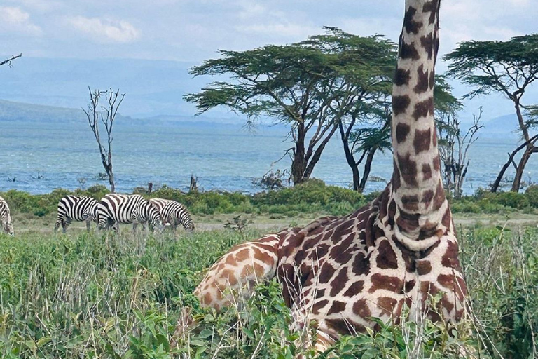 Nairobi: Crescent Island Walking Safari and Lake Naivasha Shared: Crescent Island and Lake Naivasha without Entry Fee