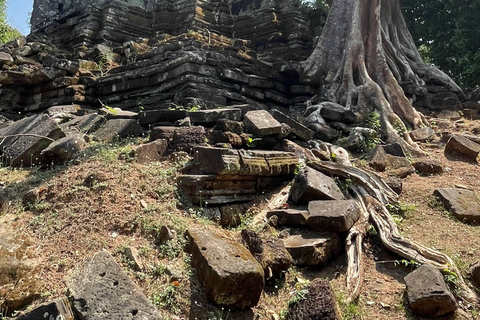Siem Reap: Small-Group Guided Visit of Angkor Wat and Its Temples Angkor Wat: Full-Day Group Tour with French-Speaking Live Guide