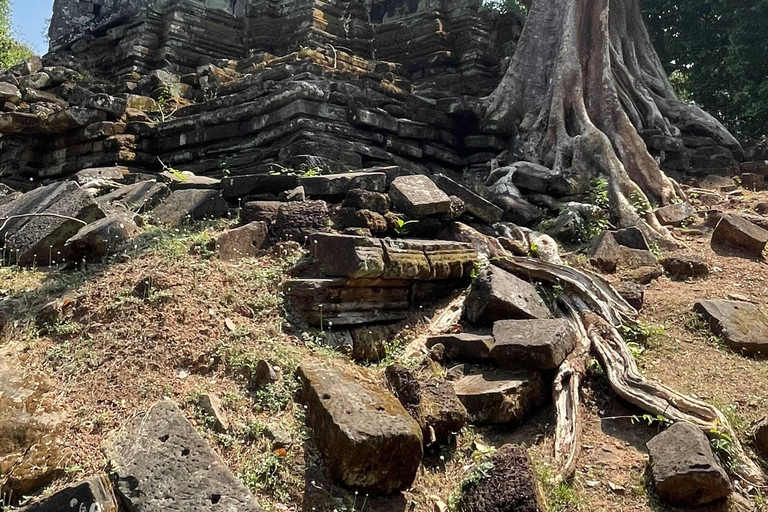 Siem Reap: Small-Group Guided Visit of Angkor Wat and Its Temples Angkor Wat: Full-Day Group Tour with French-Speaking Live Guide
