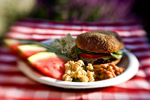 Colorado River: Heldagsrafting med BBQ-lunchUtan upphämtning