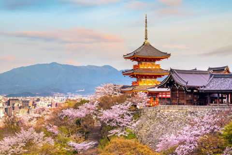 Kyoto/Osaka: Dagsutflykt till Kyoto och Nara UNESCO:s platser och historia