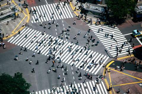 Excursão de 1 dia a Tóquio: Skytree, Santuário Meiji com motorista inglês