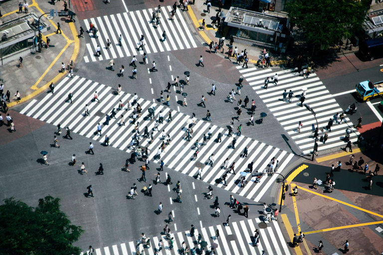 Excursão de 1 dia a Tóquio: Skytree, Santuário Meiji com motorista inglês