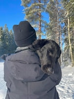 Oslo, Scenic Hike et Norvégien gaufre sorcière locale & chiot - Hizvo