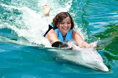 Puerto Aventuras: Dolphin Swim Adventure