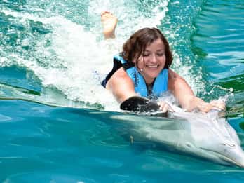 Puerto Aventuras: Aventure avec les dauphins