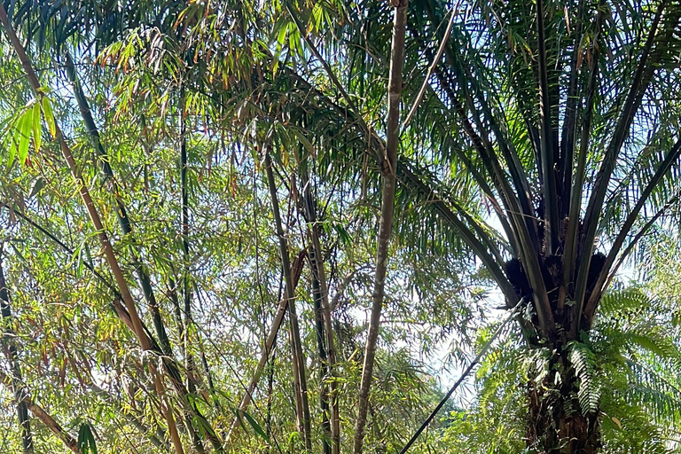 Rafting 5km.+Optional Zipline & ATV(Near Krabi/In Phang Nga) 5 km rafting