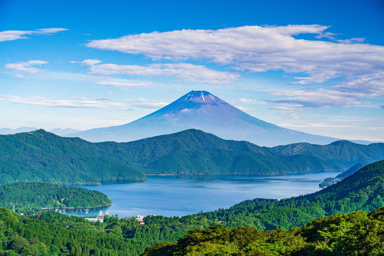 Tokyo: Hakone Private Luxury Day Tour with English Driver