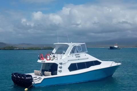 Santa Cruz: Ferry ticket to Isabela Island