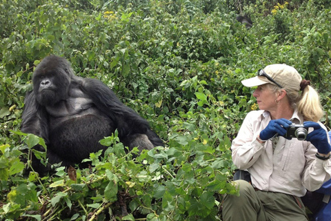 Gorilla vandring dagstur med lunch