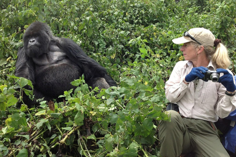 Gorilla trektocht dagtocht met lunch